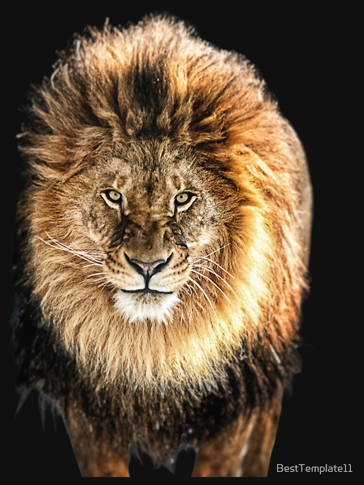 The Almighty king lion by BestTemplate11