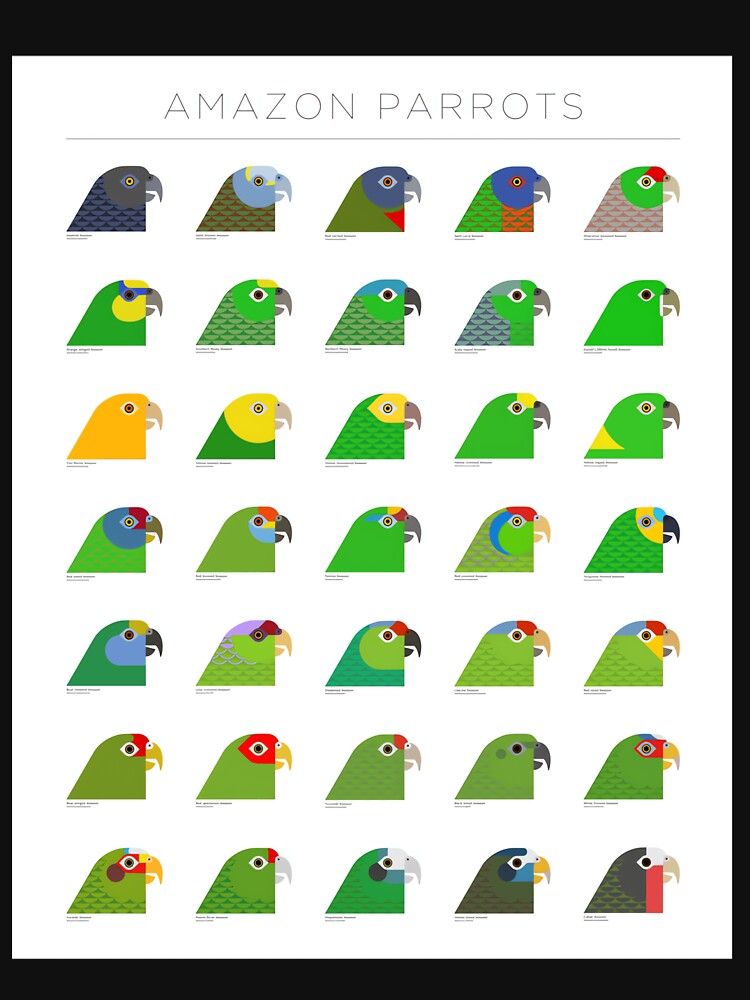 Amazon Parrots by vielkaxuesy