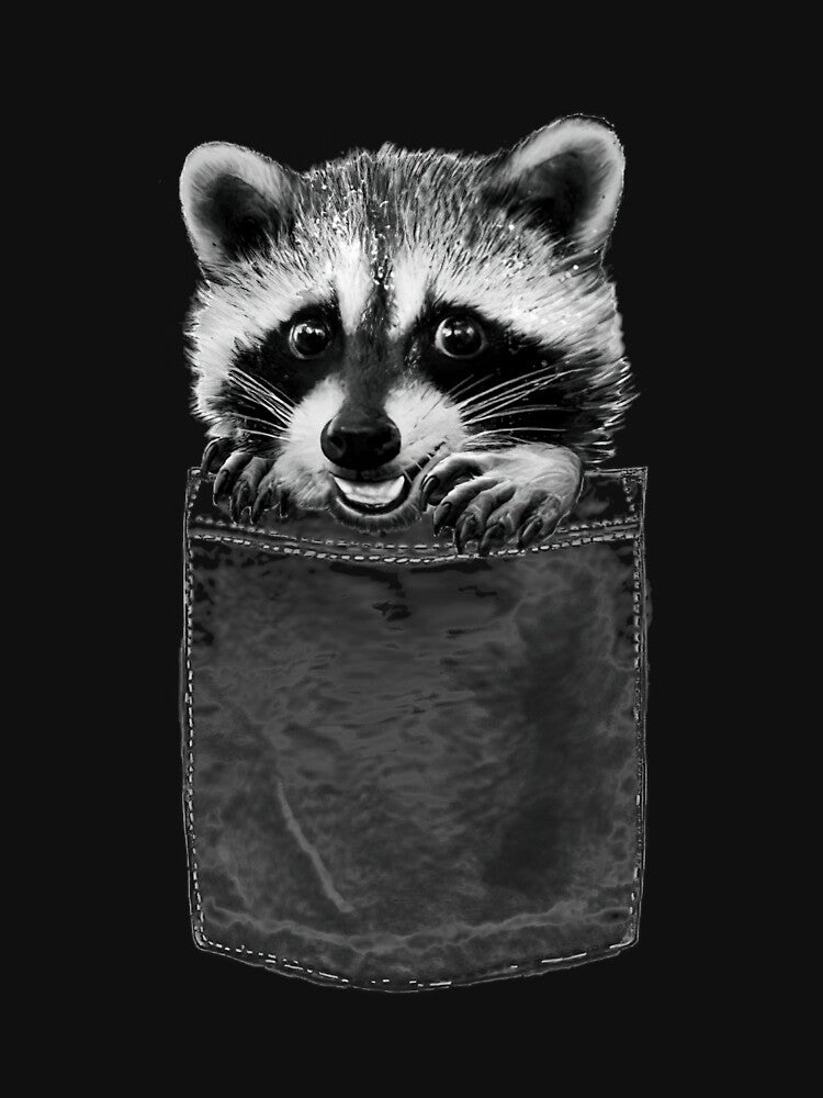 Raccoon Pullover by divingwhirl