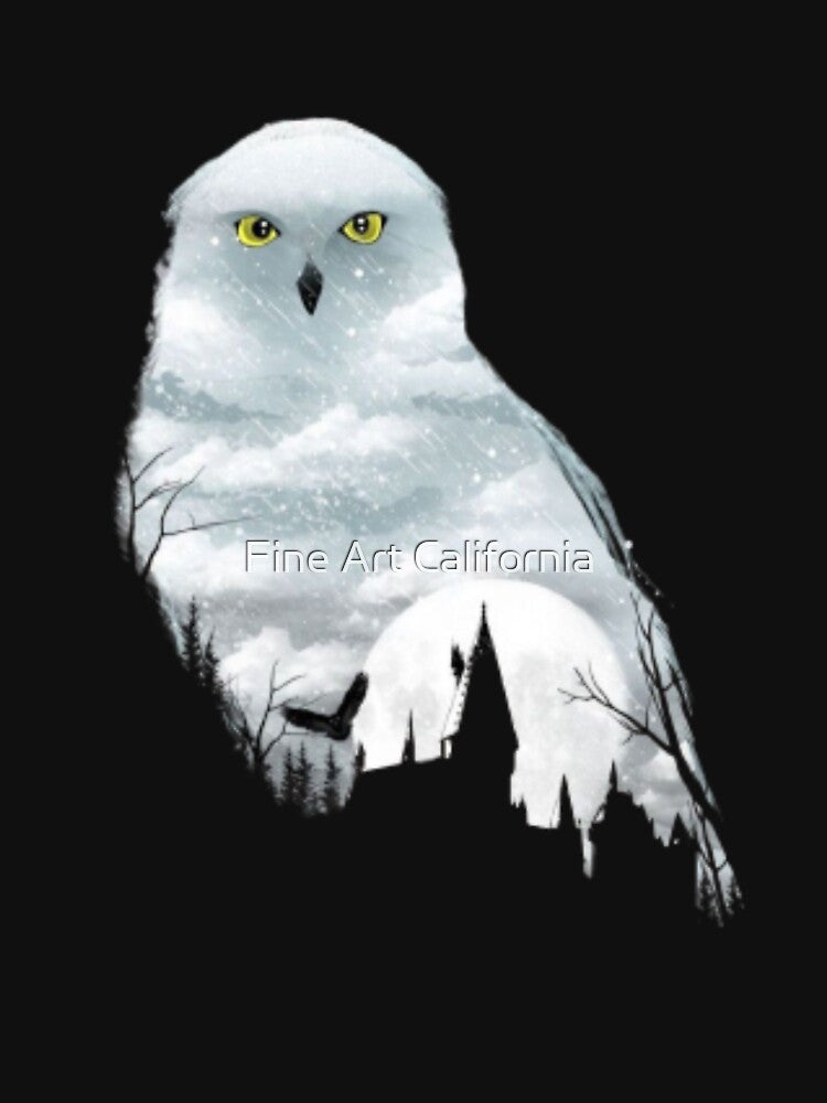 Magic Owl and Letter Silhouette by Fine Art California