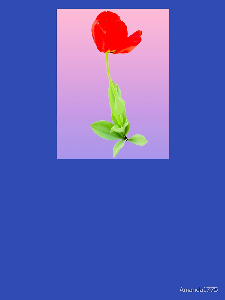 Tulip by Amanda1775