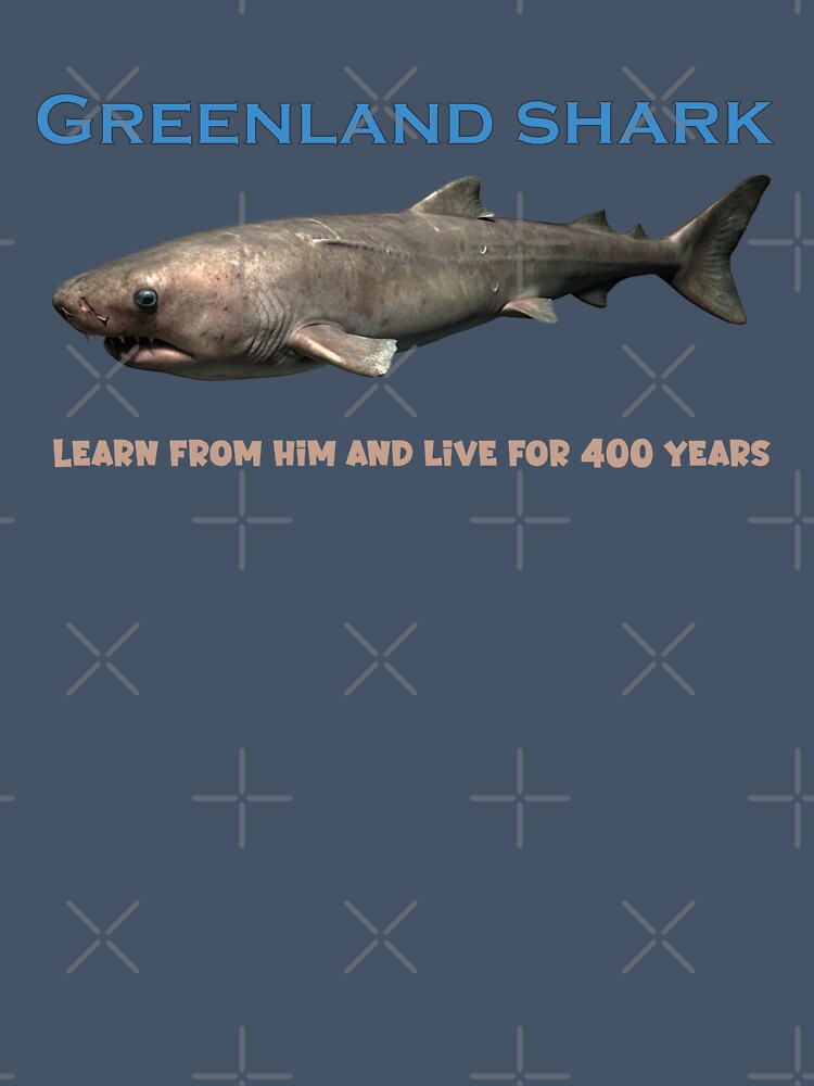 Greenland shark, learn from him and live for 400 years by ElenaHrubes