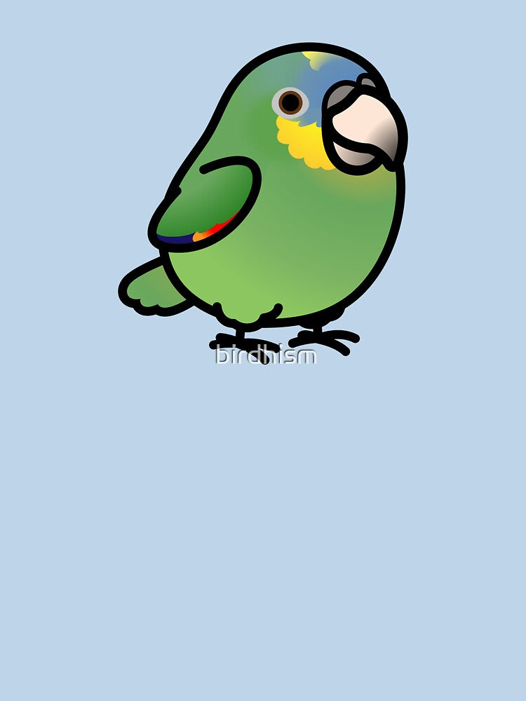 Chubby Orange-winged Amazon by birdhism