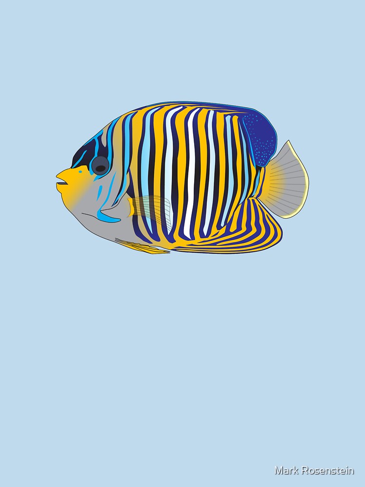 Regal Angelfish by Mark Rosenstein