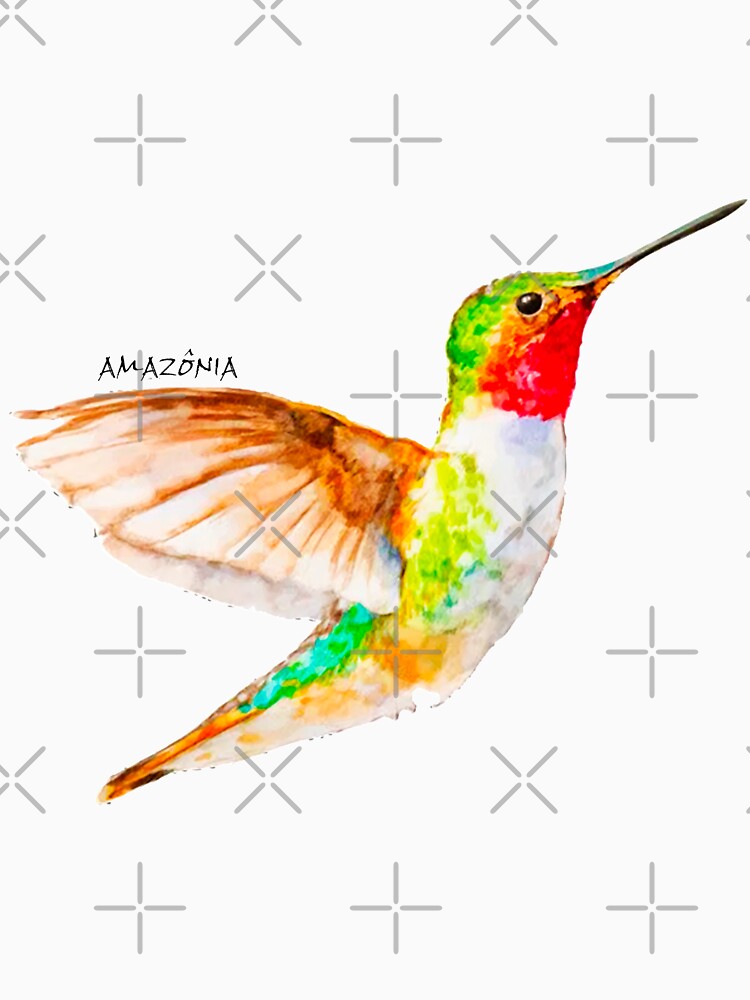 Amazon Hummingbird - Brazilian Birds by oluap