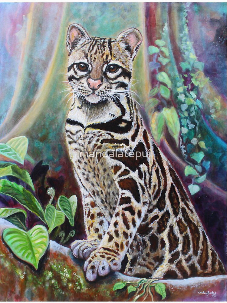 Ocelot / Ocelot / Cunaguaro / Jaguatirica by mandalatepui