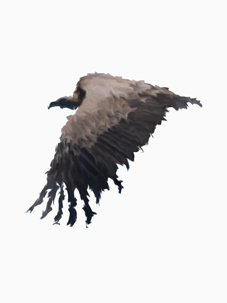 Vulture by Rik Verbeek