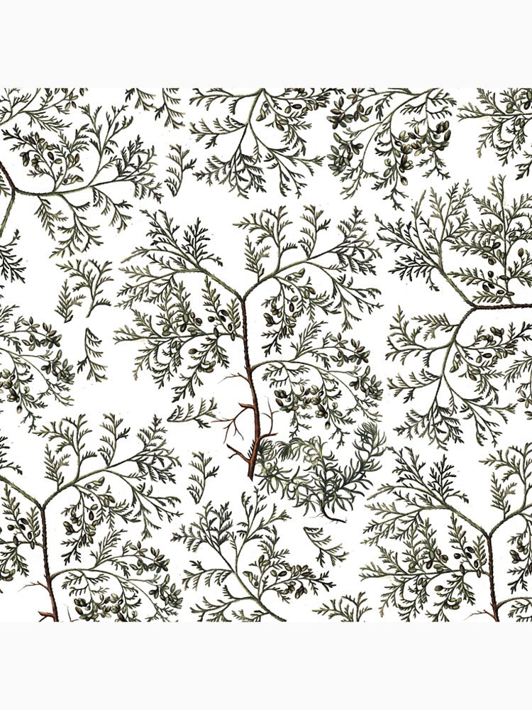 Nature Pattern by franciscomff