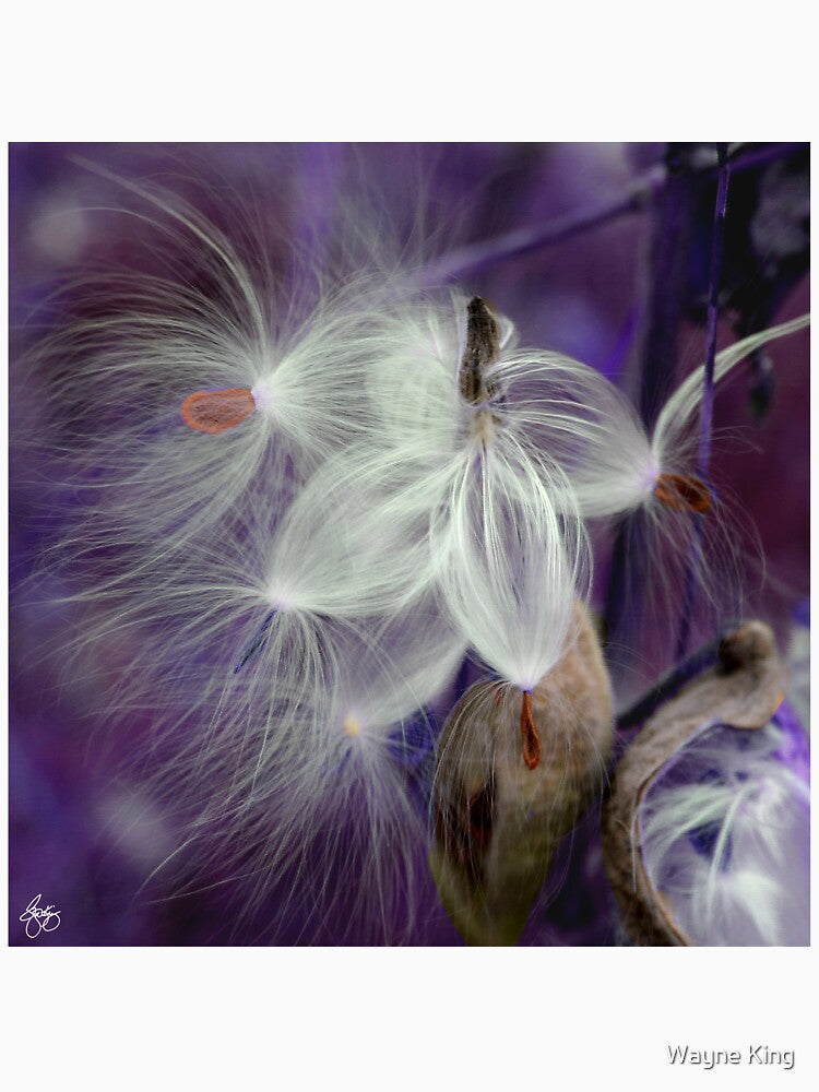 Waiting on a Purple Breeze by Wayne King