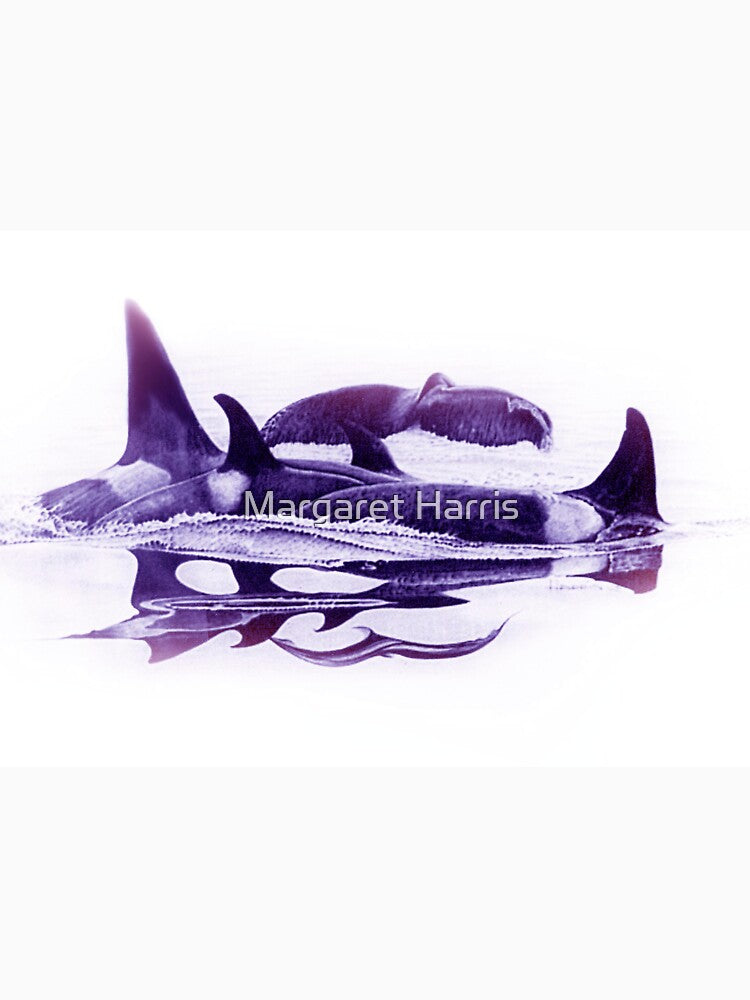 Whale Pod by Margaret Harris