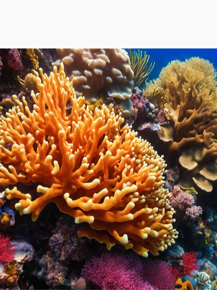 Coral reef multi color ocean pattern by Md Rashid  Hasan