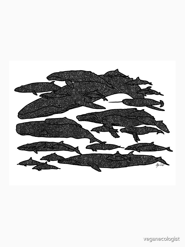 Whales of the World by veganecologist