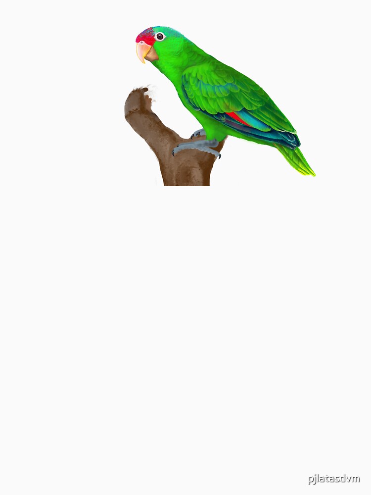 Mexican Red-crowned Amazon Parrot by pjlatasdvm