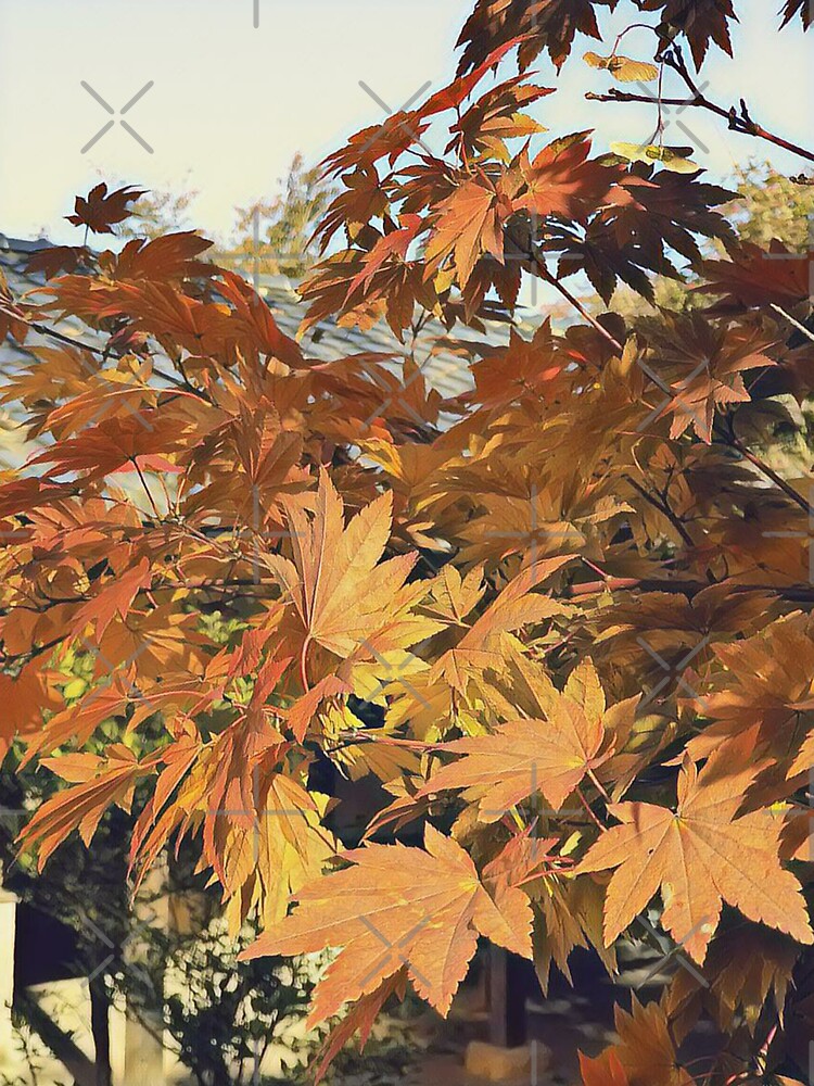 Red and Orange Autumn Leaves Design by jaguarcliff