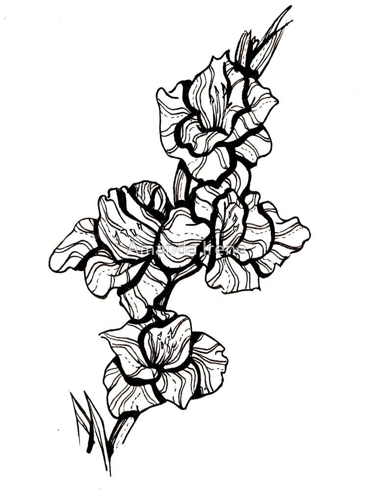 Gladiolus Ink Flower by Amanda Irene