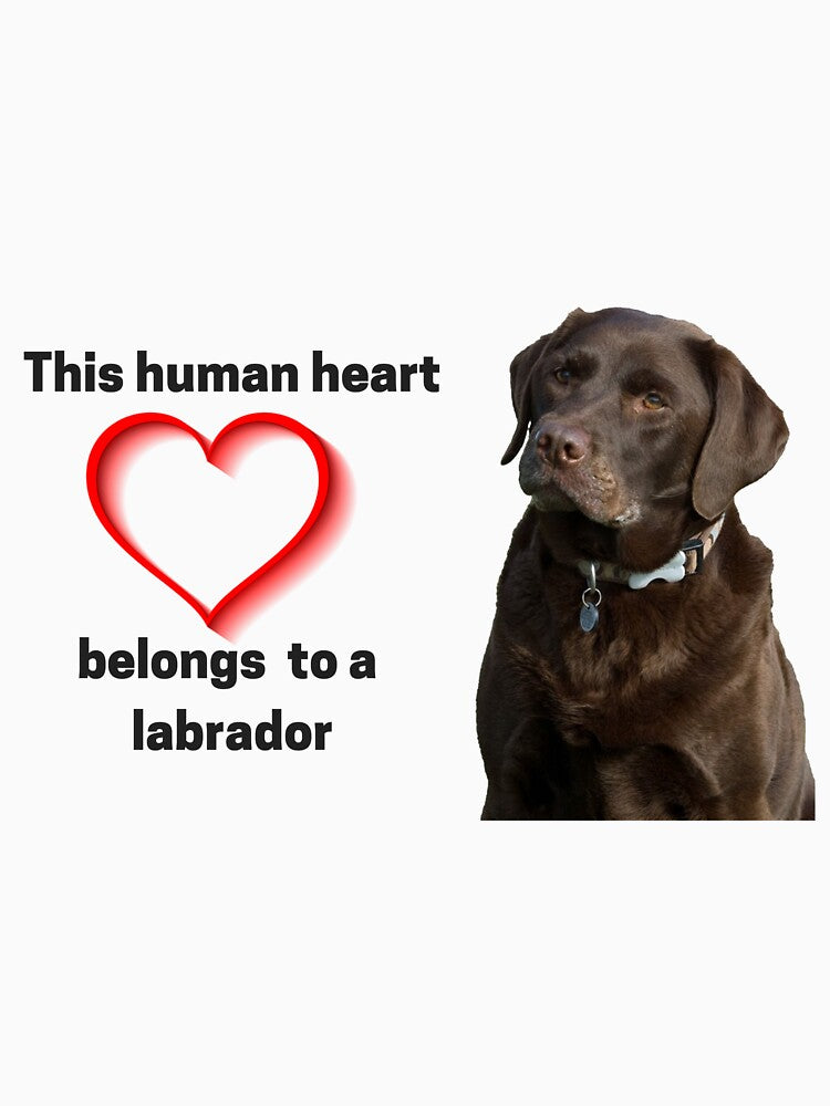 This human heart belongs to a labrador by whitedove457