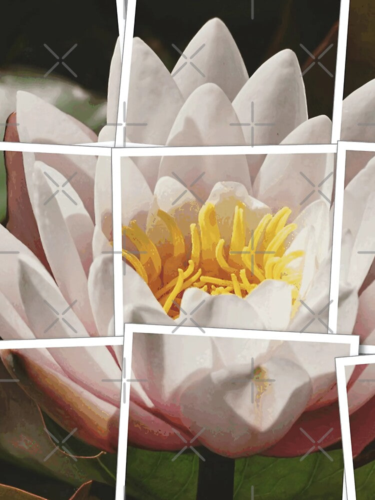 7 Stunning Views of White Water Lily | Tranquil Floral Collage Art Print by POETTICA