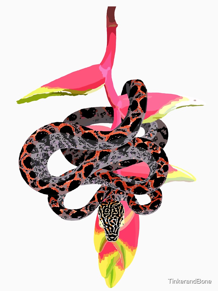 Amazon Tree Boa by TinkerandBone