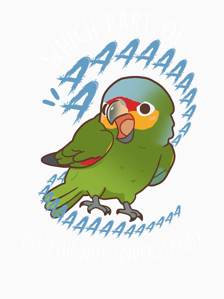 Red-lored Amazon Parrot Aaaa by Clara Hollins