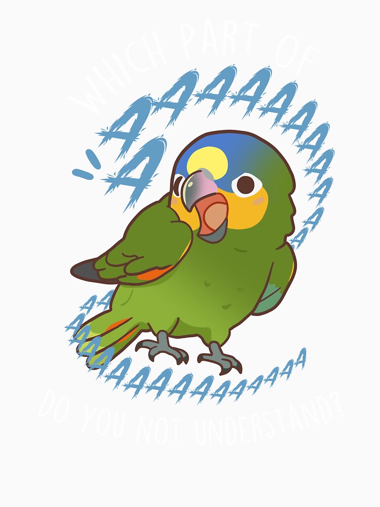 Orange-winged Amazon Parrot Aaaa by Clara Hollins
