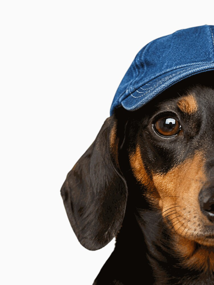 Yorkie Drinking Beer Funny Dog Meme by ForThe2F0X1Folks