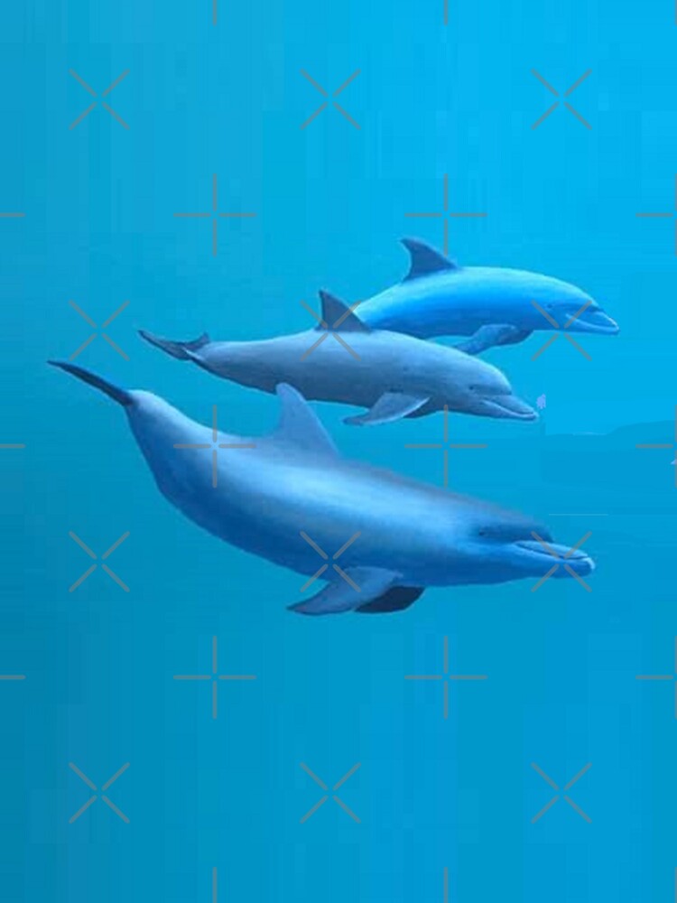 Key West Dolphins by Damienator
