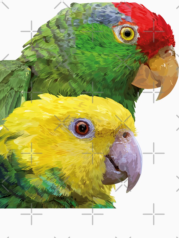 Equal-headed Amazon and Tamaulipeca Amazon by obscurite