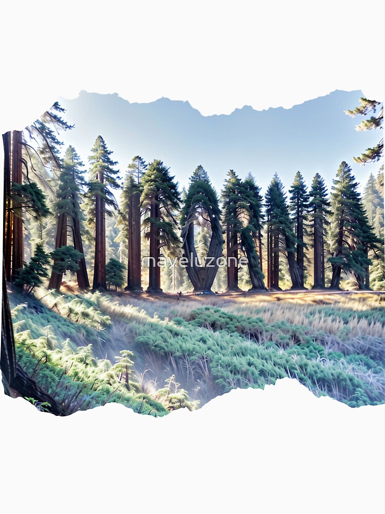 CALIFORNIA 24 18 by maveluzone