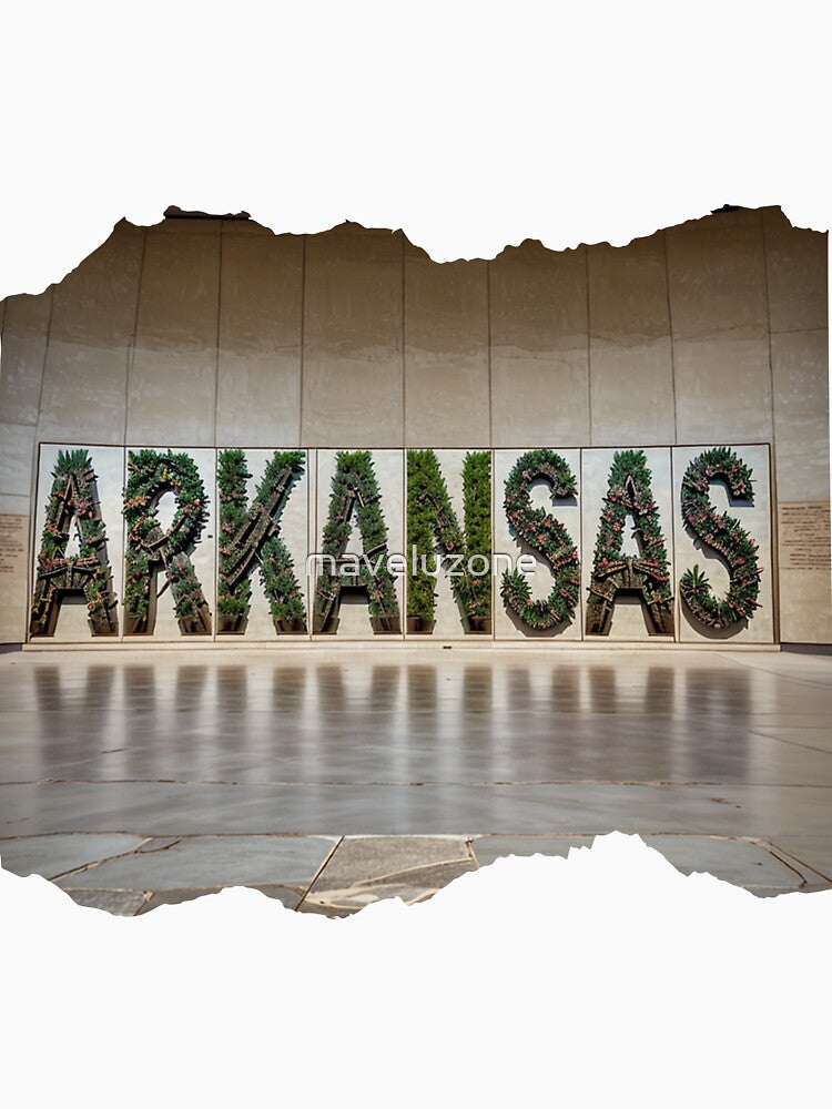 ARKANSAS 24 20 by maveluzone