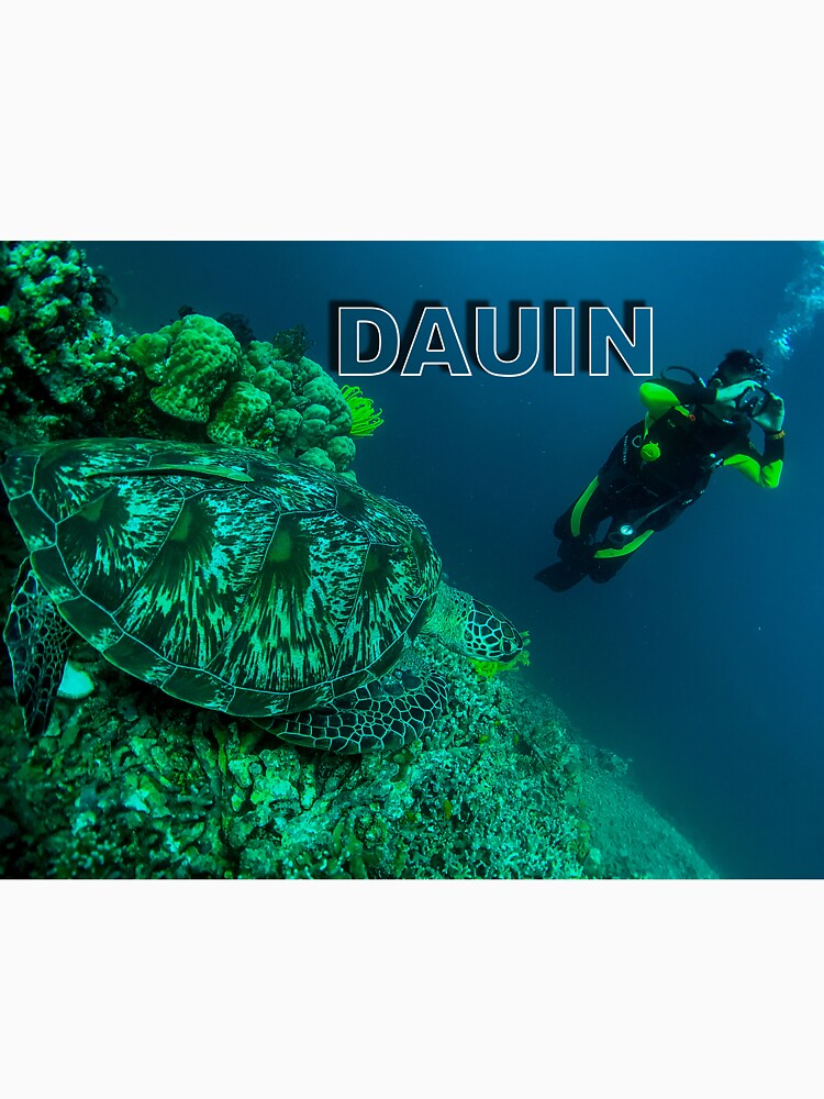 Dauin, Negros Oriental, Philippines by likbatonboot