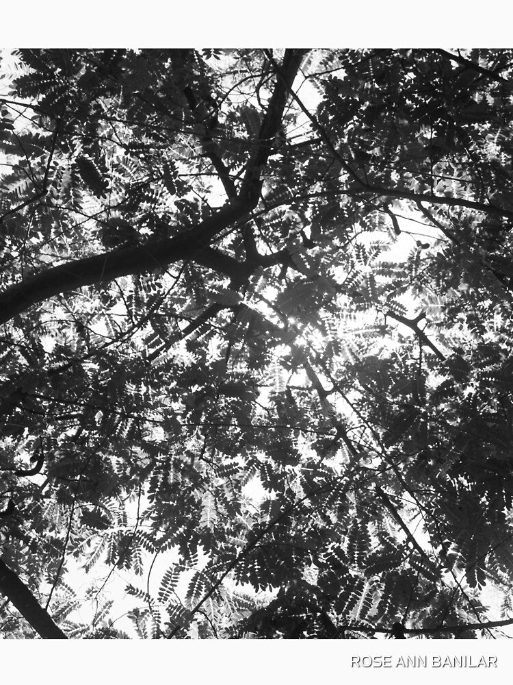 Ipil-ipil Tree by ROSE ANN BANILAR