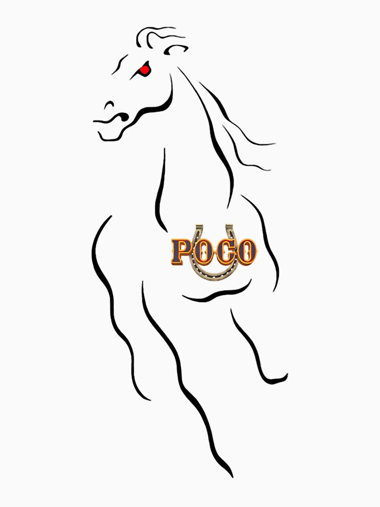 Logo POCO BAND - Exclusive by JadaSchinner