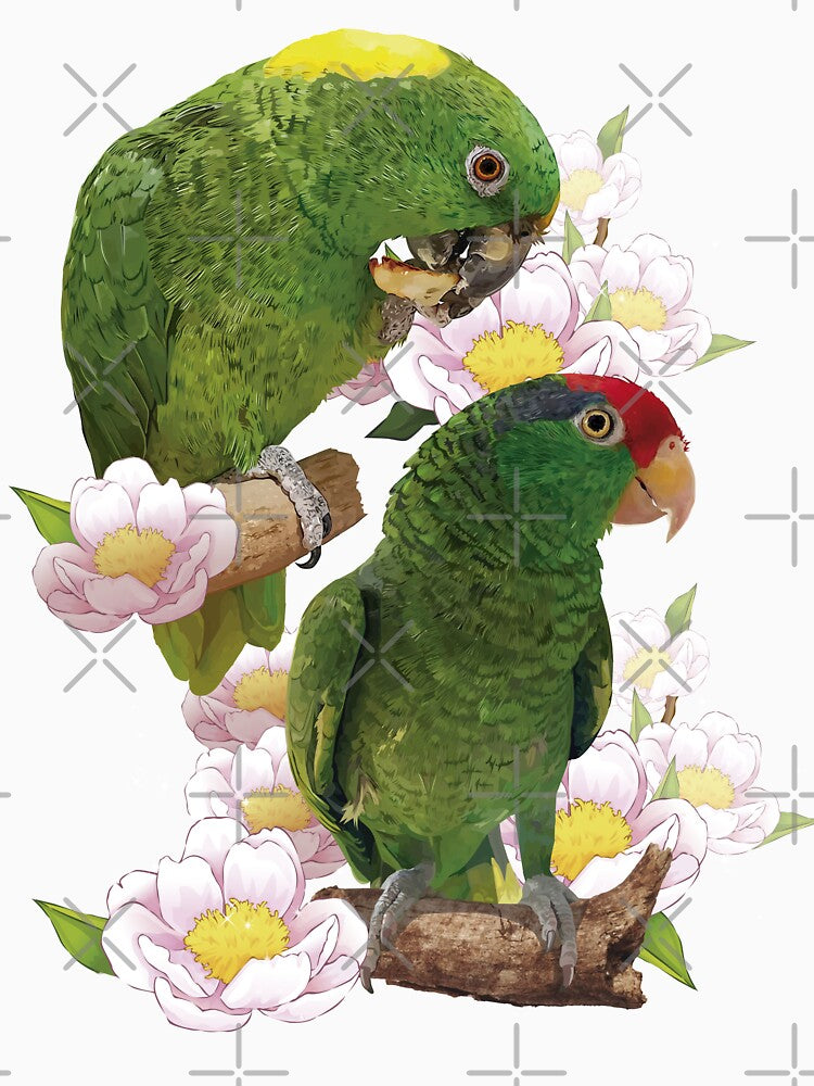 parrots by obscurite