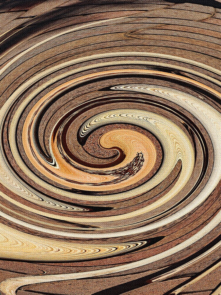 Patio Royal Palm Seed Pod Blend Abstraction by Tom Janca