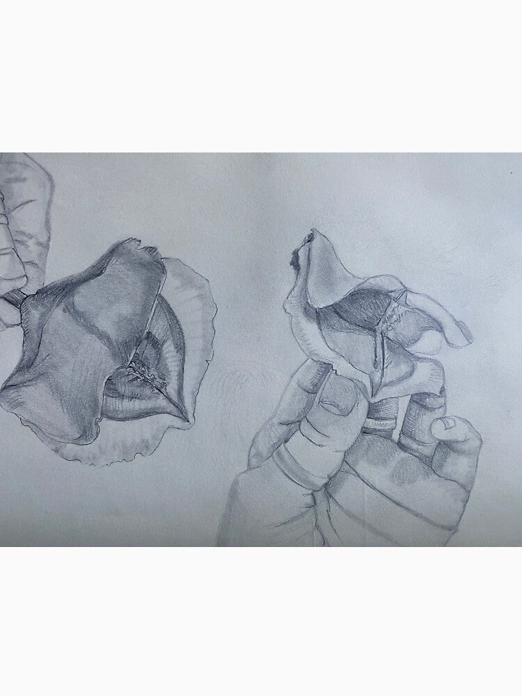 Pod Study by Wendy Leigh Curtis
