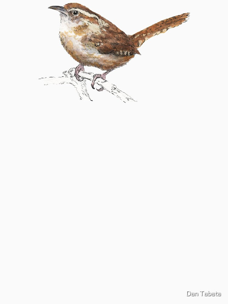 Carolina Wren by Dan Tabata