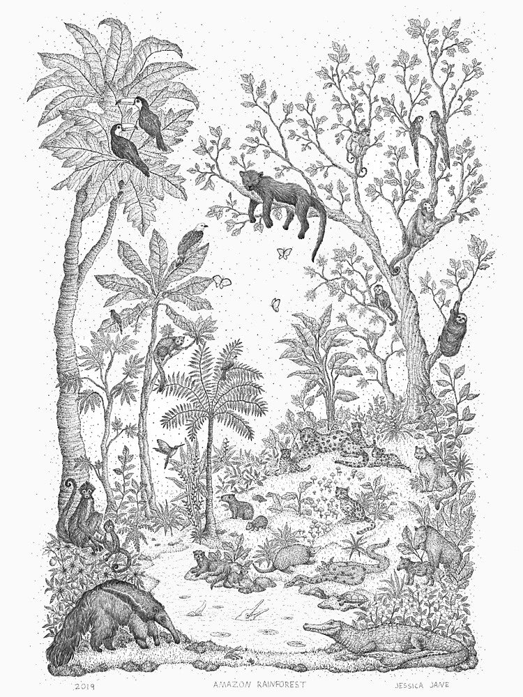 Amazon Rainforest by Jessica  Jane
