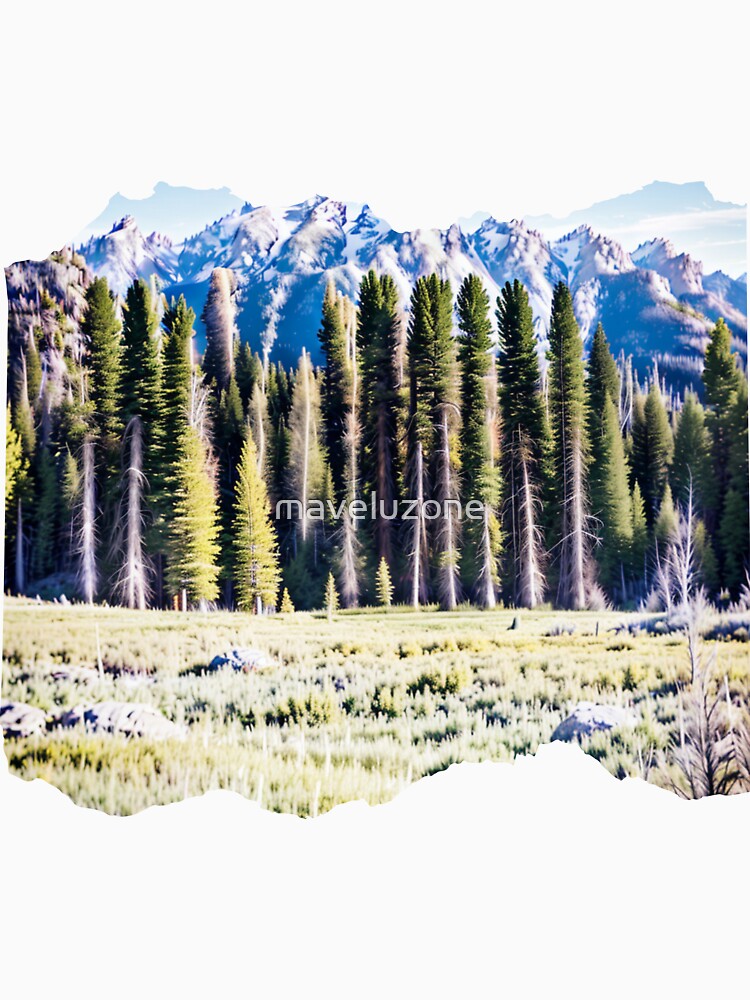 WYOMING 24 16 by maveluzone