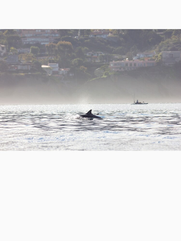 Dolphin Pod by ArtsnCulture