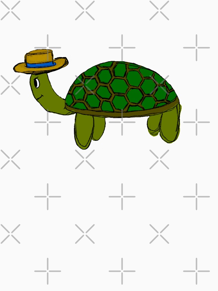 Timothy the tortoise by Natalia Kettle