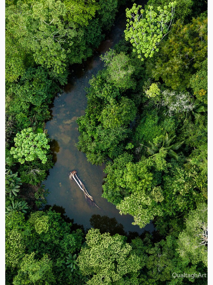Amazon Jungle by QualtaghArt