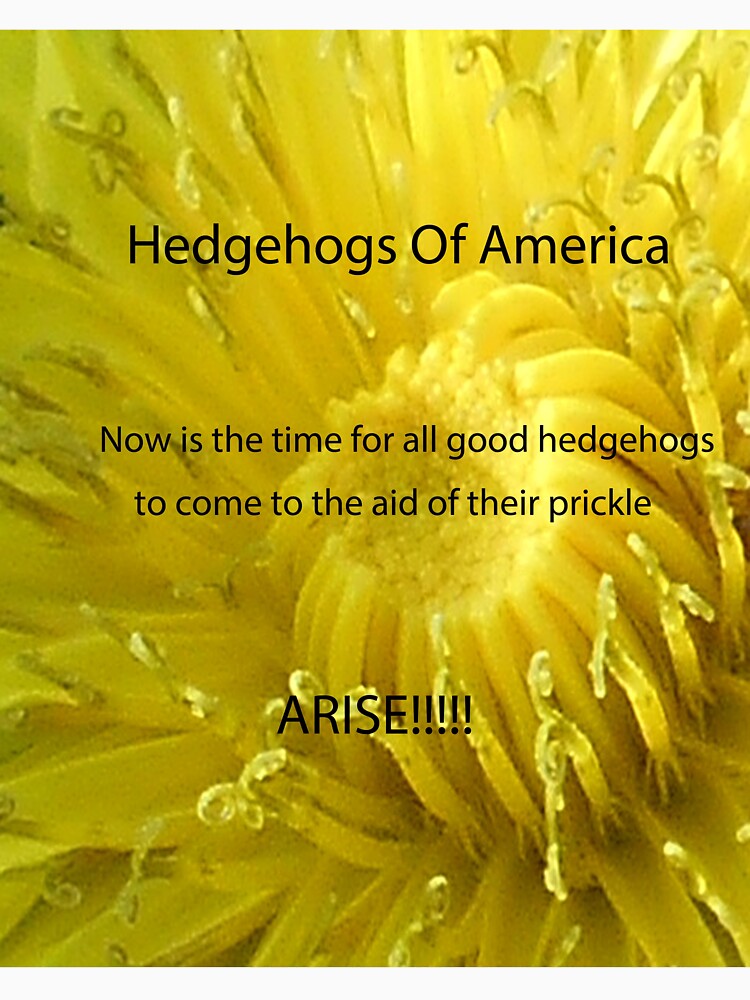 Hedgehogs Of America! by Mark Polk