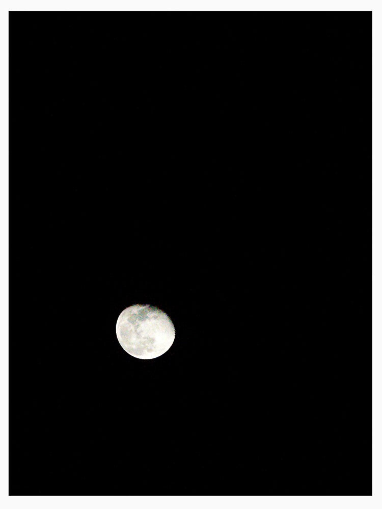 Full Moon On November 29,2023 by MercerImages