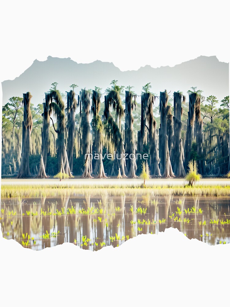 LOUISIANA 24 3 by maveluzone