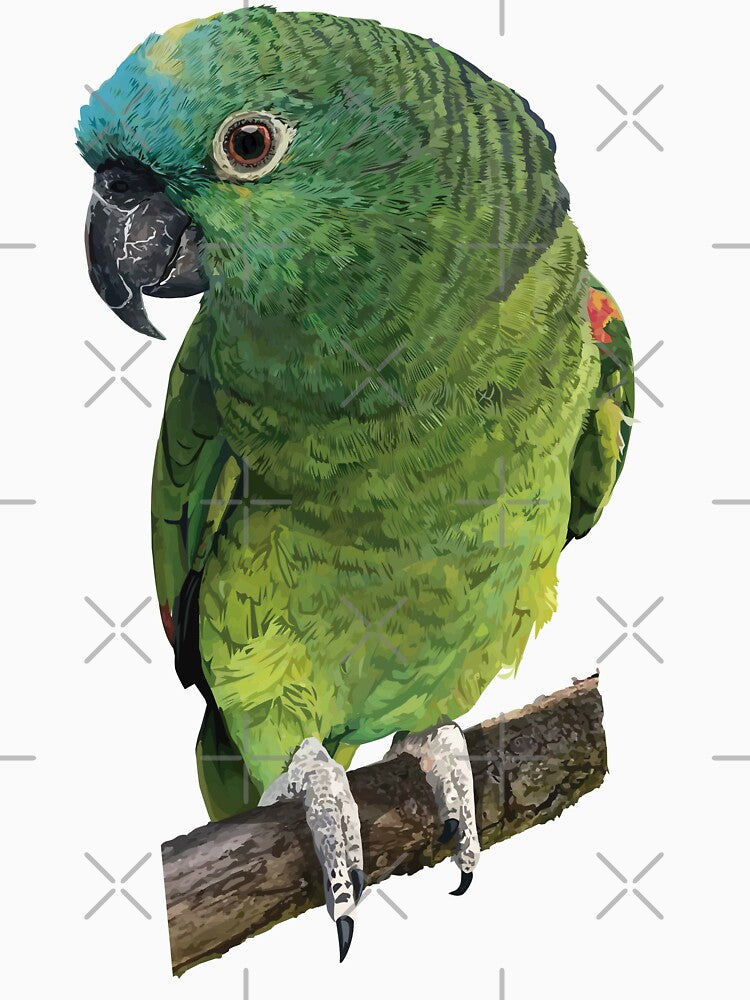 Copy of The Blue-fronted Amazon by obscurite