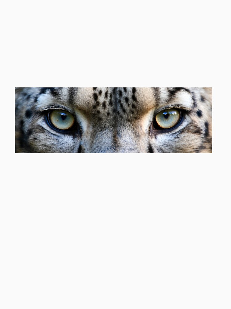 Wild Gaze – Cheetah Eyes Close-Up by ValuemAndCo