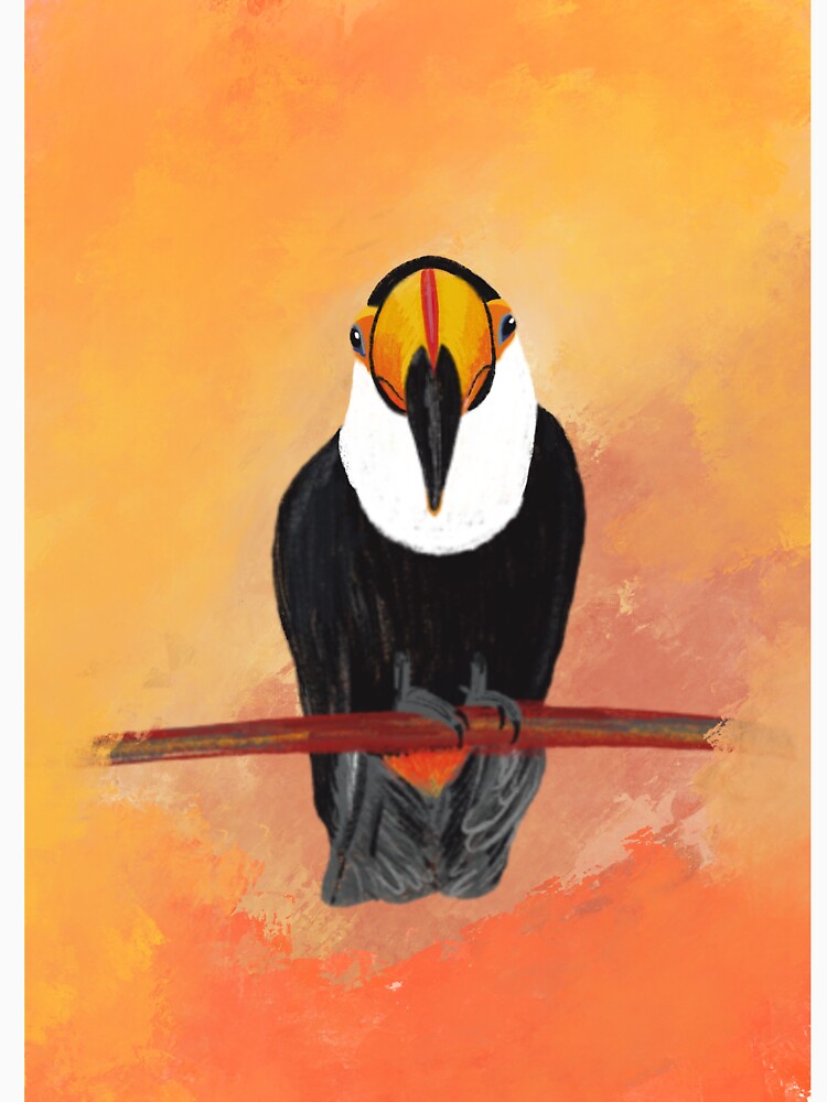 Toucan by illustrationlou