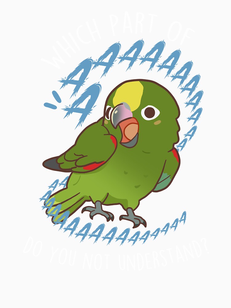 Yellow-crowned Amazon Parrot Aaaa by Clara Hollins