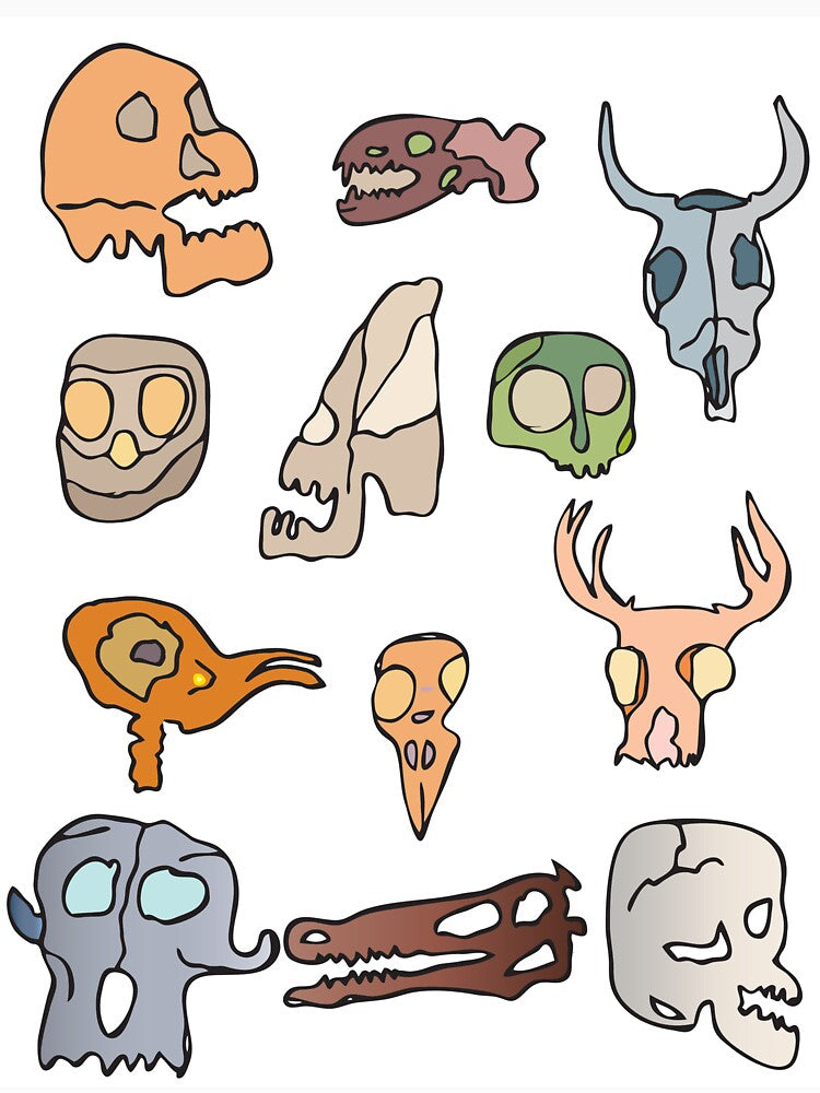 hand drawn skulls by daryldarko