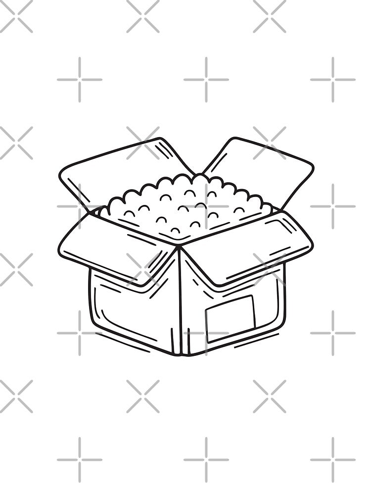 An open cardboard box revealing bubble wrap lining by rasagamastore